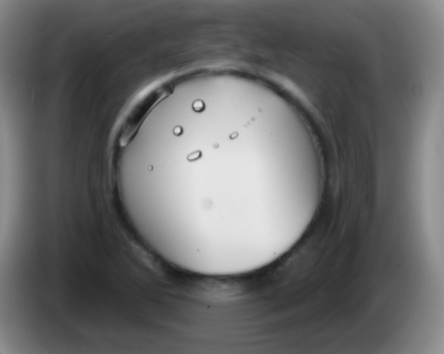 X0000083991270200703091837