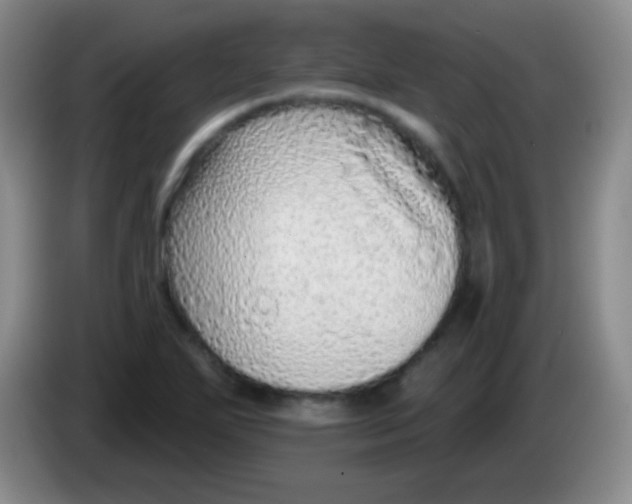 X0000083991271200703091837