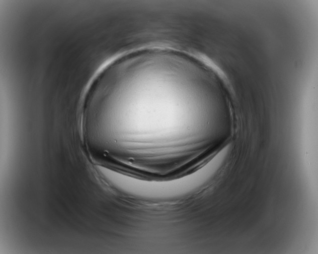 X0000083991272200703091837