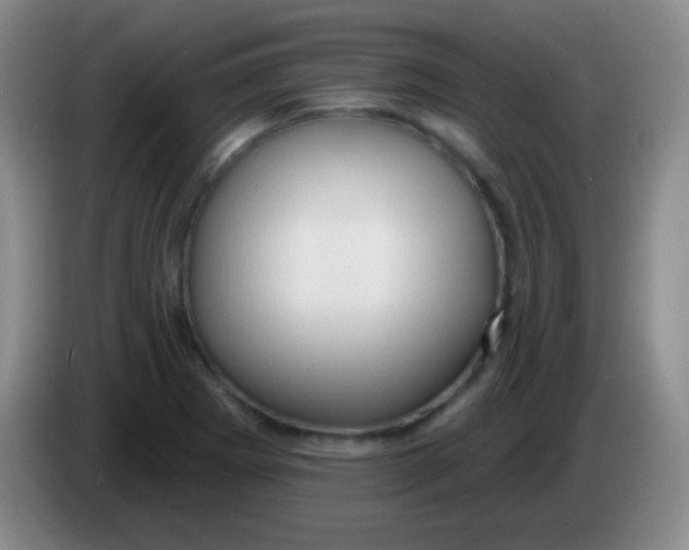 X0000083991273200703091837