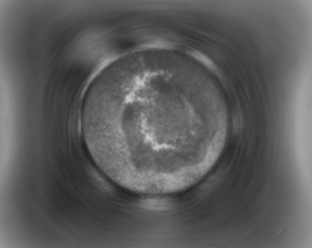 X0000083991274200703091837