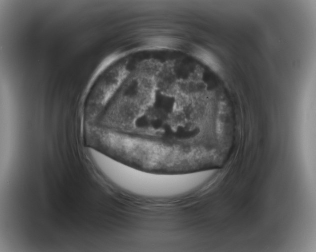 X0000083991275200703091837