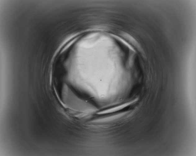 X0000083991276200703091837