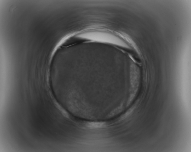 X0000083991277200703091837