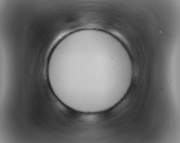 X0000083991278200703091837