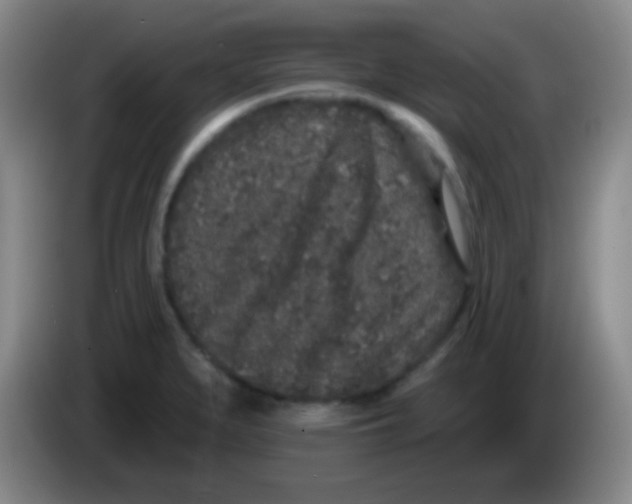 X0000083991279200703091837