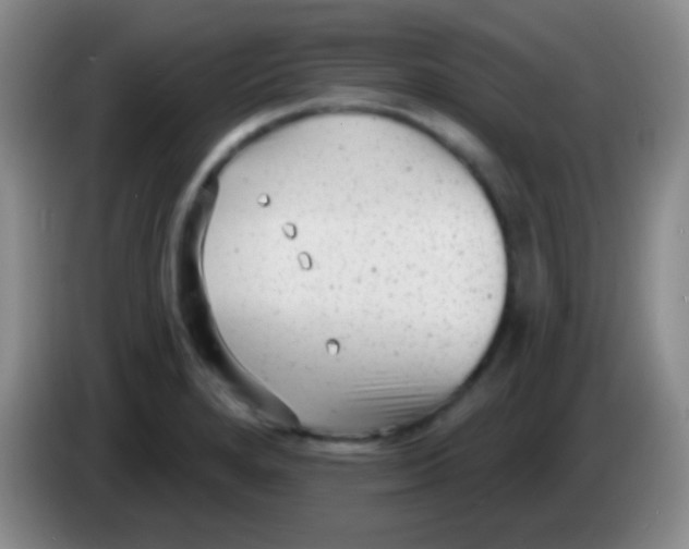 X0000083991280200703091837