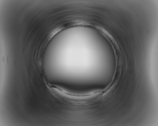 X0000083991281200703091837