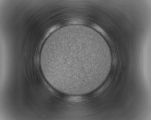 X0000083991282200703091837