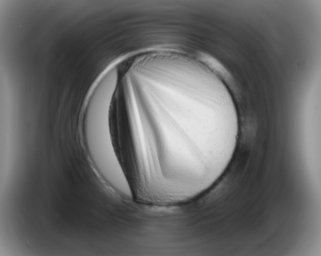 X0000083991284200703091837