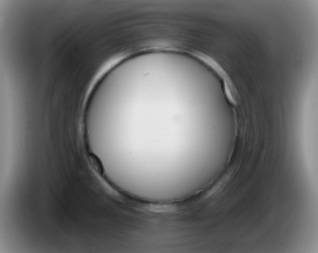 X0000083991285200703091837