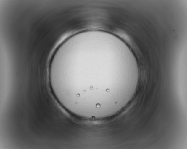 X0000083991286200703091837