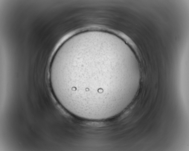 X0000083991287200703091837