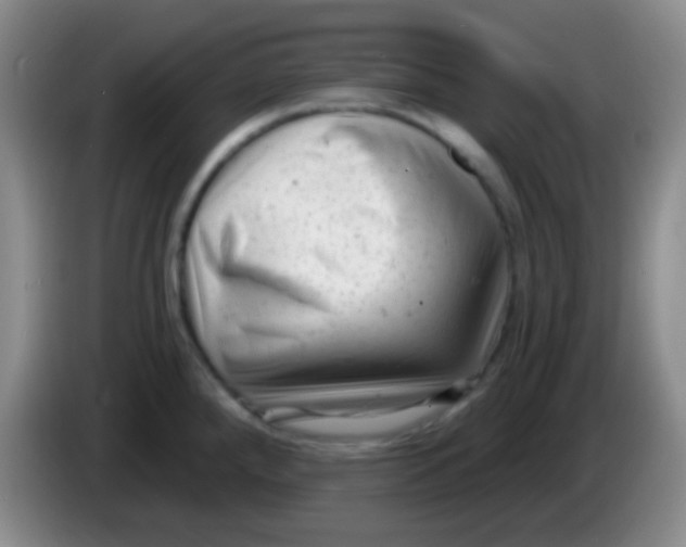 X0000083991288200703091837