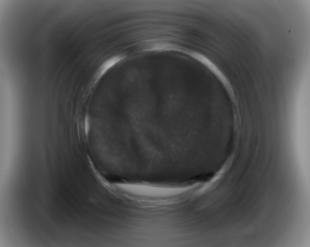 X0000083991289200703091837