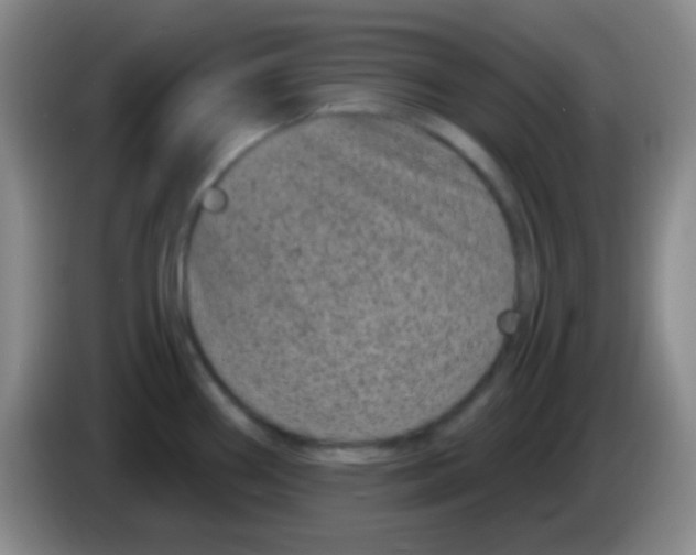 X0000083991290200703091837