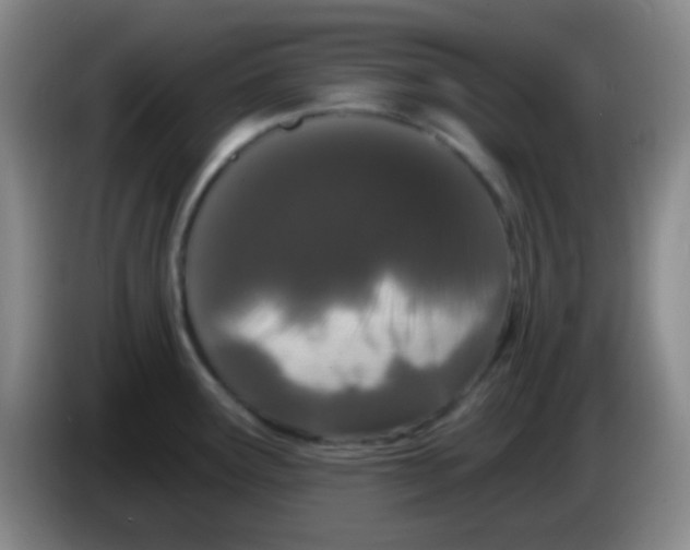 X0000083991291200703091837