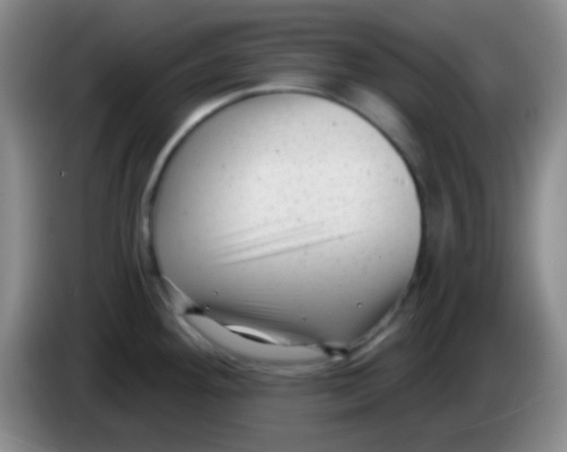 X0000083991292200703091837