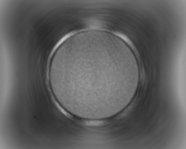 X0000083991294200703091837