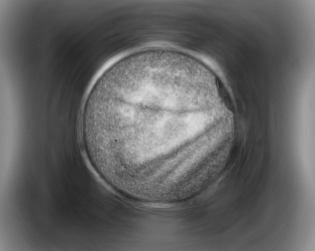 X0000083991295200703091837