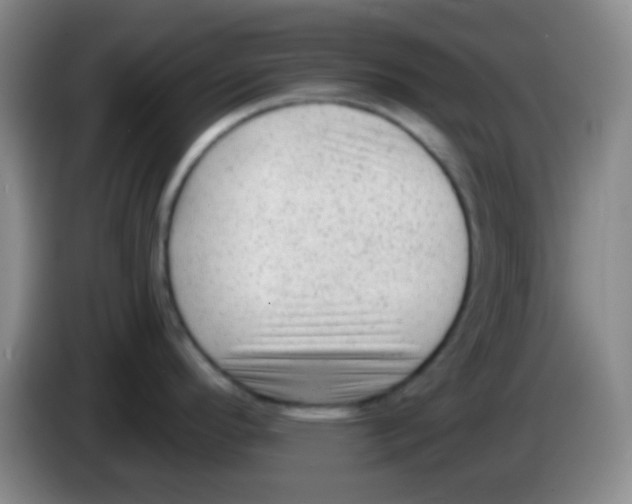 X0000083991296200703091837