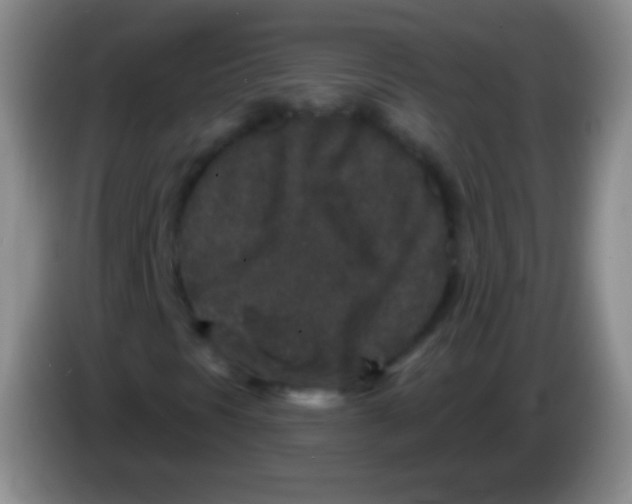 X0000083991297200703091836