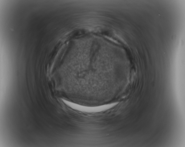 X0000083991298200703091836