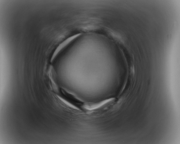 X0000083991300200703091836