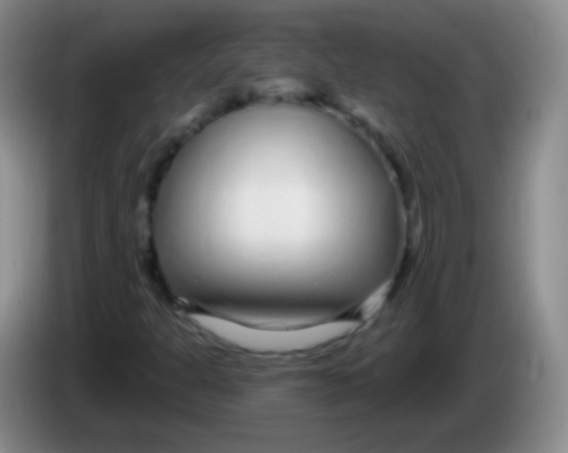 X0000083991301200703091836