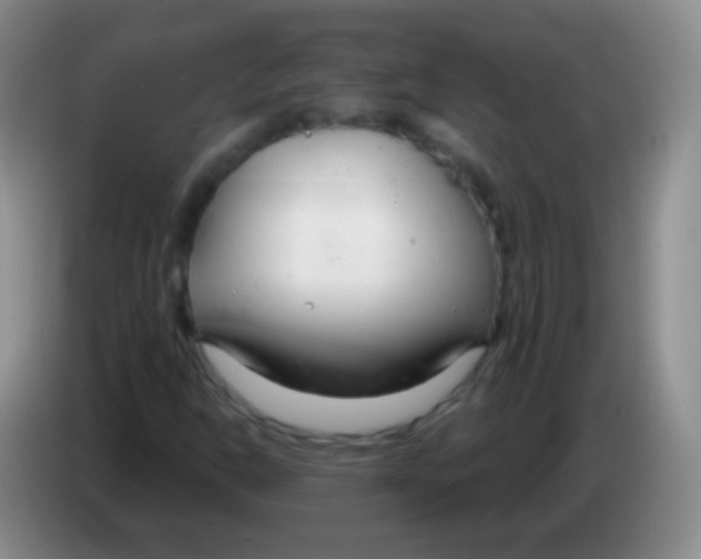 X0000083991302200703091837