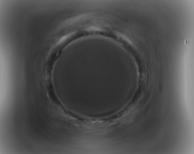 X0000083991303200703091837