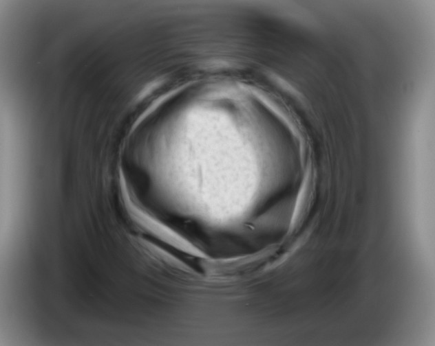 X0000083991305200703091837