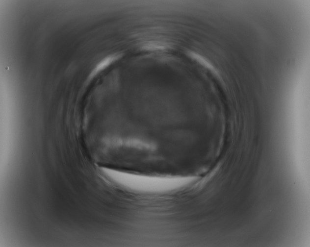 X0000083991306200703091837