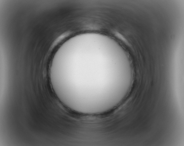 X0000083991307200703091837