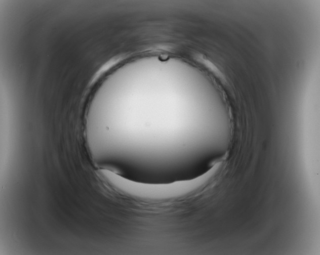 X0000083991308200703091837