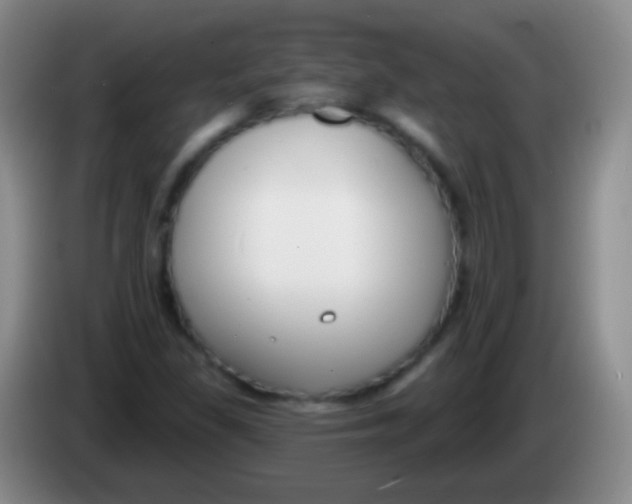 X0000083991309200703091837