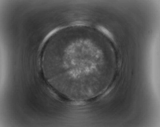 X0000083991310200703091837