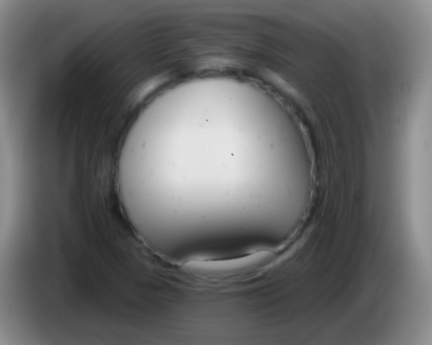 X0000083991313200703091837