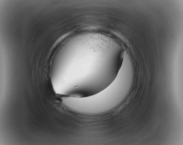 X0000083991314200703091837