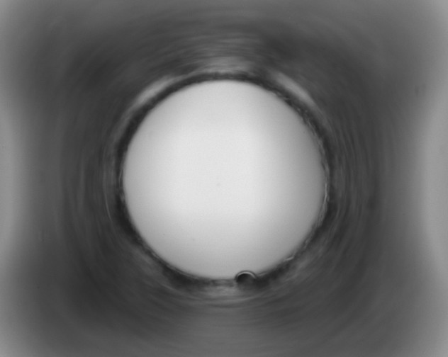 X0000083991315200703091837