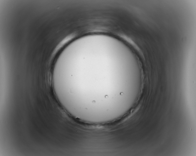 X0000083991317200703091837