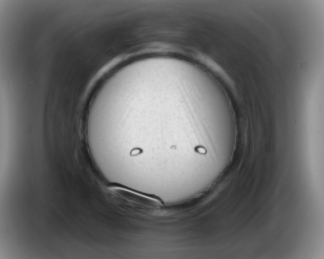 X0000083991318200703091837