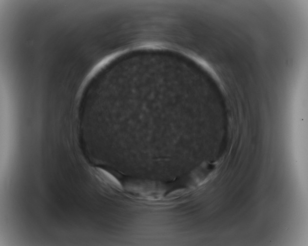 X0000083991319200703091837