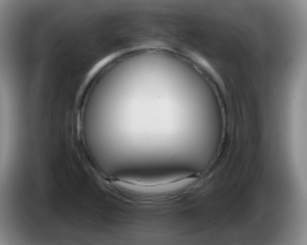 X0000083991320200703091837