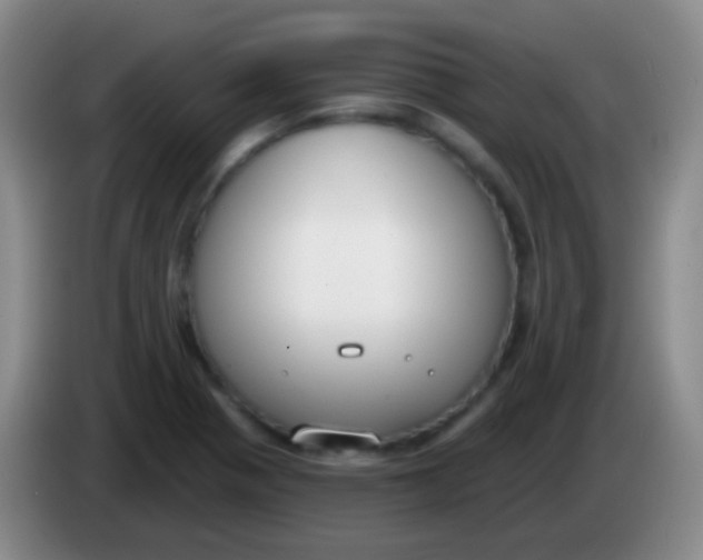 X0000083991321200703091837