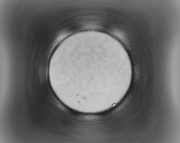 X0000083991322200703091837