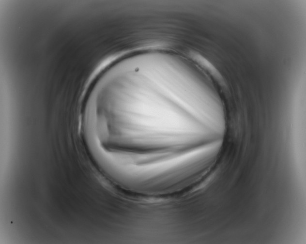 X0000083991324200703091837