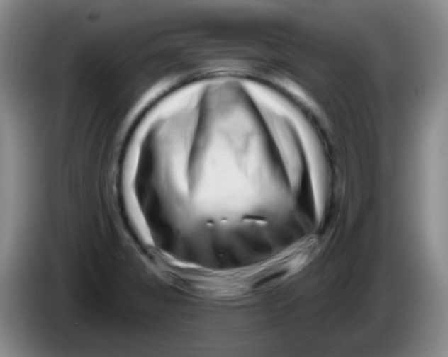 X0000083991325200703091837