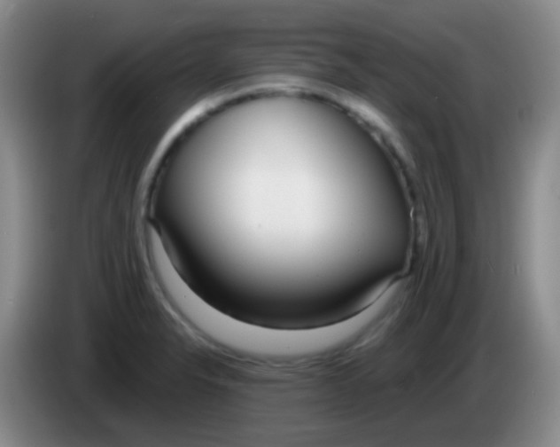 X0000083991326200703091837