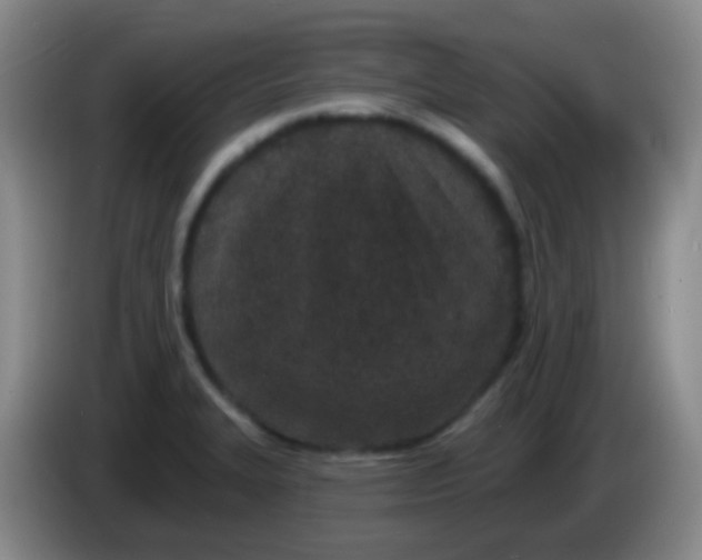 X0000083991327200703091837